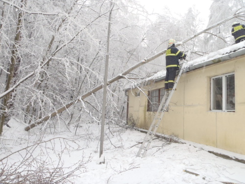 snihstromHrabyne (8).JPG