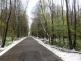 snihvitr7stromuTrinec (2)