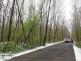 snihvitr7stromuTrinec (3)