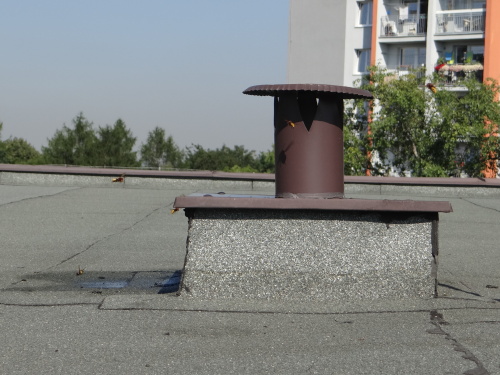 srsnelikvidaceVolgogradska_Ostrava-Zabreh (12).JPG