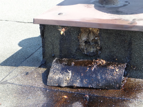 srsnelikvidaceVolgogradska_Ostrava-Zabreh (24).JPG