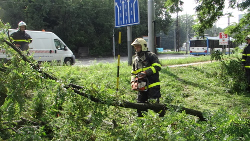 strom2akatymenirnaOstrava (22).JPG