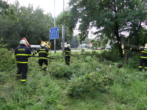 strom2akatymenirnaOstrava (25).JPG