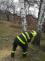 stromDPSMagnolieOV_Vitkovice (1)