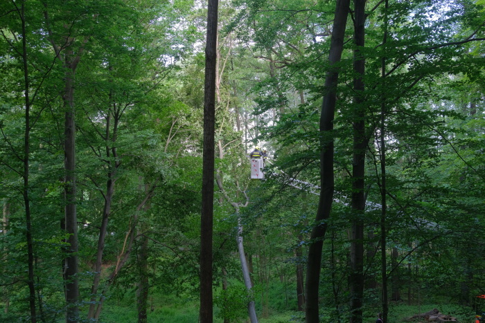 stromOV_Hulvaky (1).JPG