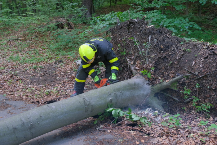 stromOV_Hulvaky (10).JPG