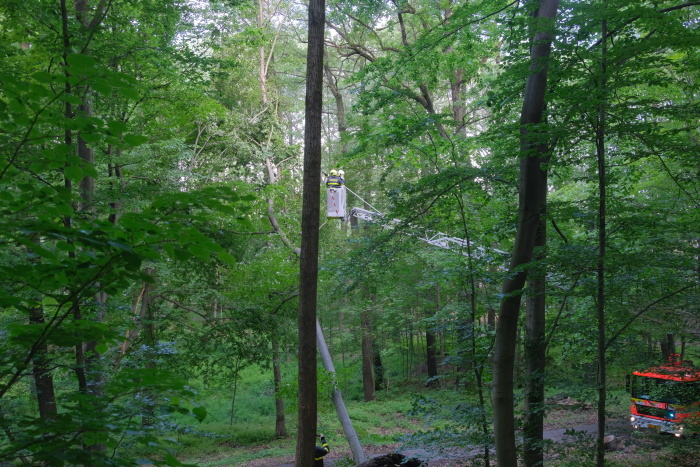 stromOV_Hulvaky (2).JPG