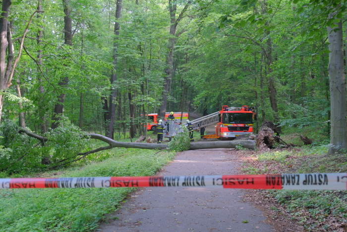 stromOV_Hulvaky (7).JPG