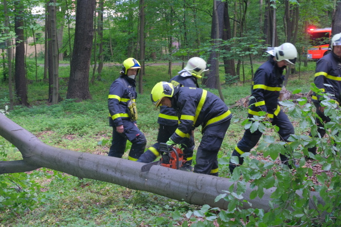 stromOV_Hulvaky (9).JPG