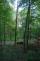 stromOV_Hulvaky (3)