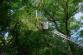 stromOV_Hulvaky (5)