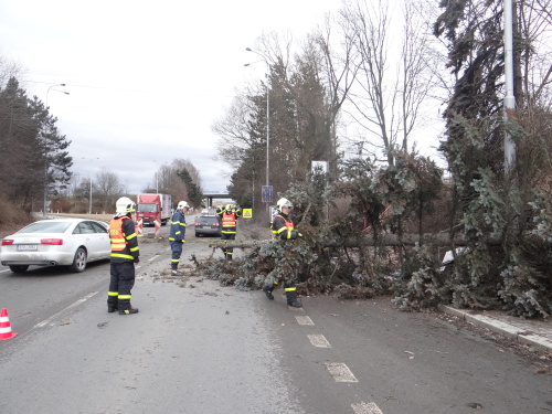 stromautoodstraneniOVPoruba (1).JPG