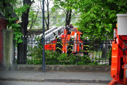 stromkastankaceniOstrava (3).jpg