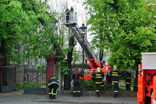 stromkastankaceniOstrava (4).jpg