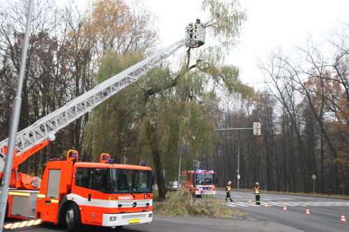 stromosvetlenirezaniOstrava (8).jpg