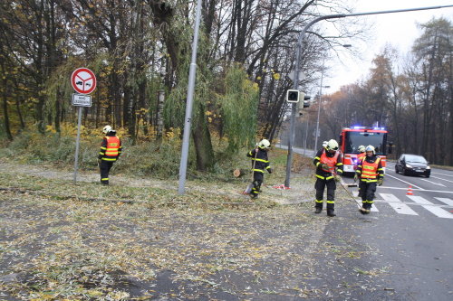 stromosvetlenirezaniOstrava (30).jpg