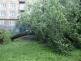 stromplotJosefaLady_Ostrava (4)