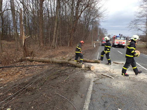 stromsilnicevedeniTranovice (10).JPG