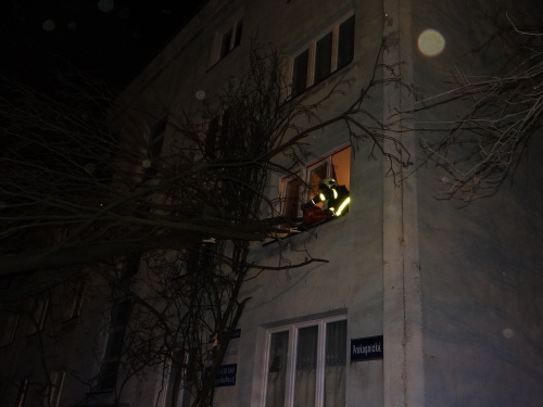 stromvitrzraneniOstravaZabreh (19).JPG