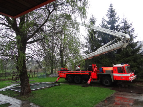 stromy2kaceniskolkaKuncice (OV) (1).JPG