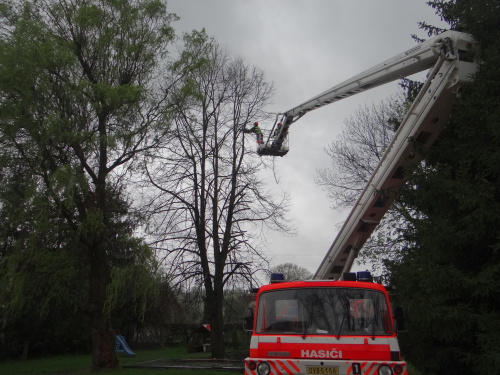 stromy2kaceniskolkaKuncice (OV) (11).JPG