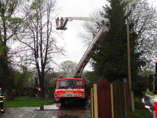 stromy2kaceniskolkaKuncice (OV) (12).JPG