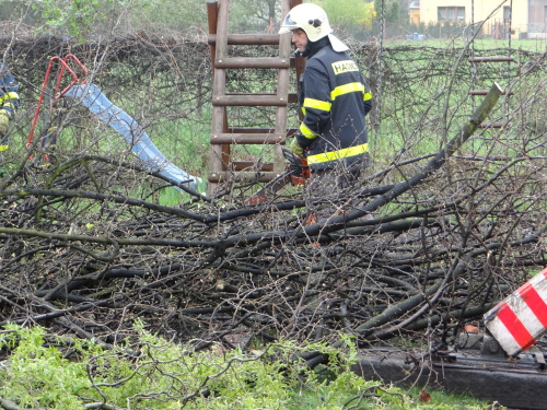 stromy2kaceniskolkaKuncice (OV) (16).JPG