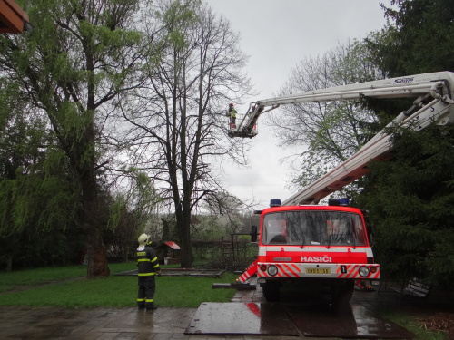 stromy2kaceniskolkaKuncice (OV) (9).JPG