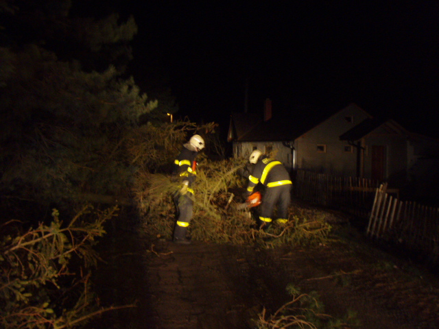 stromyvitrrezaniKolna (OP) (2).JPG