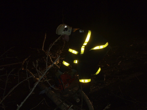 stromyvitrrezaniOstravaSlezska (4).JPG