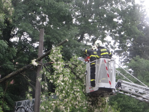 stromzastavkakaceniOstrava (5).JPG