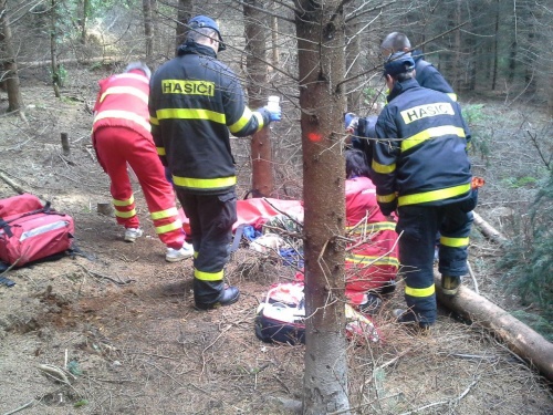 stromzraneniJeseniknadOdrou (1 NJ).jpg