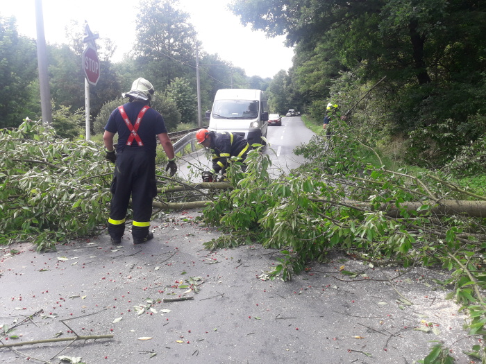 tresensilnicekolejeHorniLhota (10).jpg