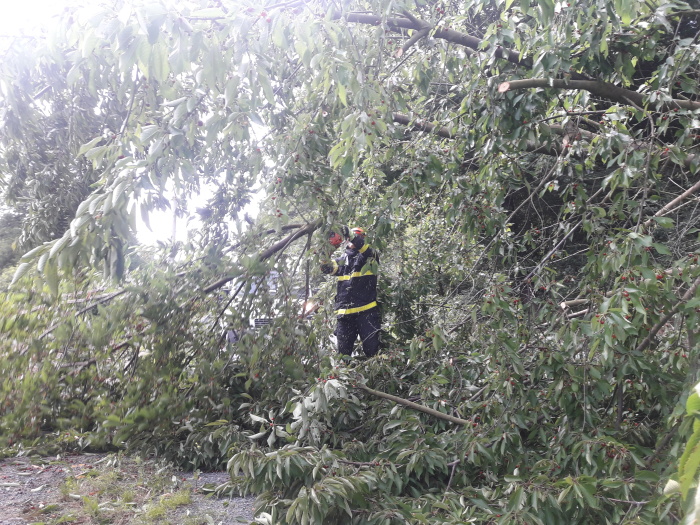 tresensilnicekolejeHorniLhota (4).jpg