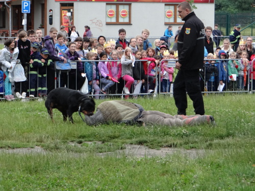 ukazkyHZSaMPOstrava_Jih (11).JPG