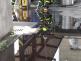 unikNL_dvur_postaOstrava (11)