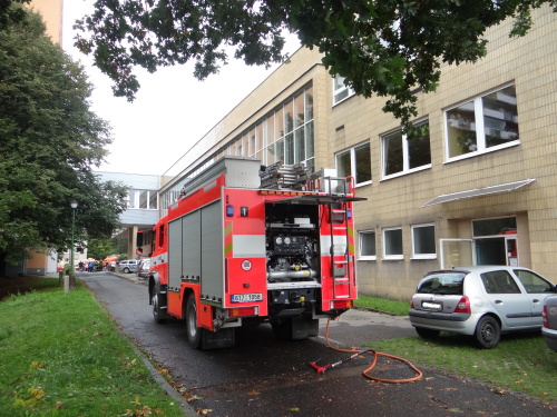 unikchlorrehustavHrabyne (OP) (12).JPG