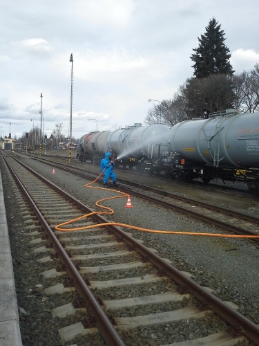 unikkyselinaBruntal_II (2).jpg