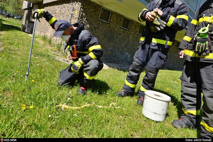 uzovkaletOstrava (1).jpg