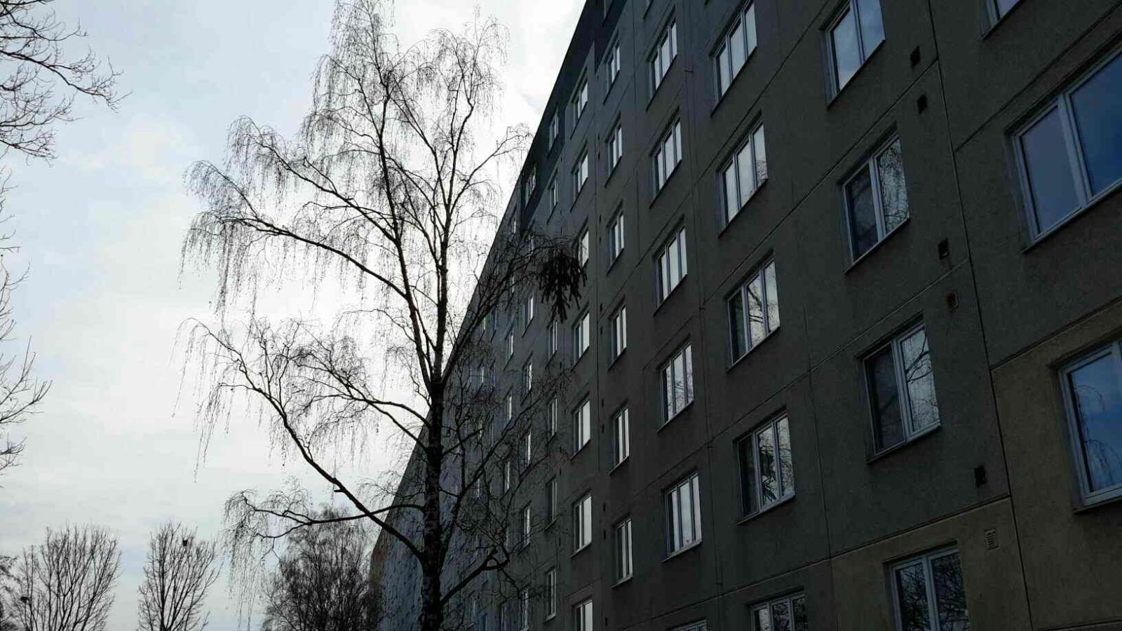 vánoční stromeček.jpg