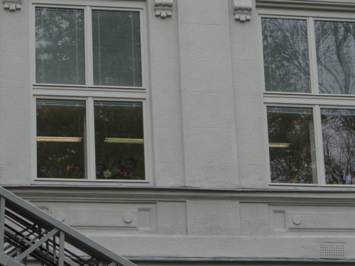 vcelylikvidaceskolaOstrava (8).JPG