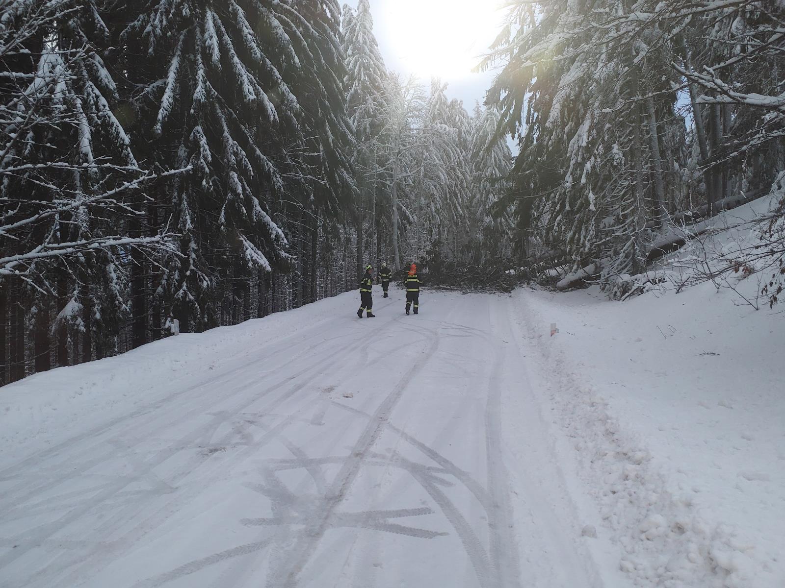 vítr 3-2-2023i.jpeg