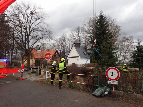 vitrRDstromNoveSedlice (4).JPG