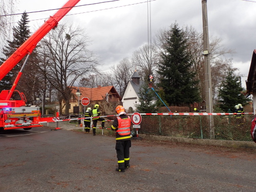 vitrRDstromNoveSedlice (6).JPG