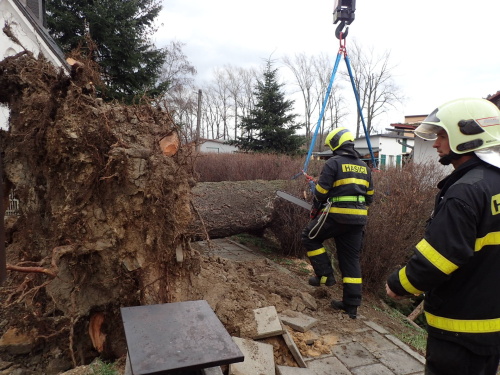 vitrRDstromNoveSedlice (7).JPG