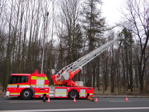 vitrmodrinBelskylesOV (10).JPG