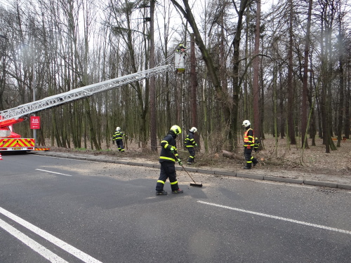 vitrmodrinBelskylesOV (12).JPG