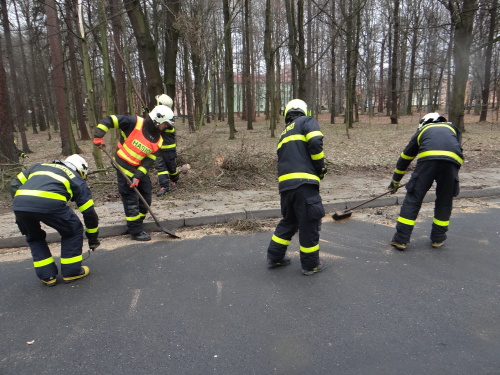 vitrmodrinBelskylesOV (14).JPG