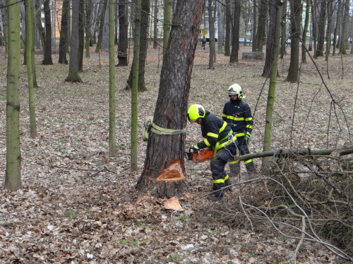 vitrmodrinBelskylesOV (16).JPG