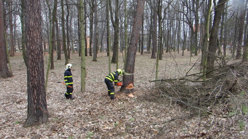 vitrmodrinBelskylesOV (17).JPG